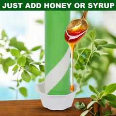 Liooty Sticky Fly Trap set on a table with fruit