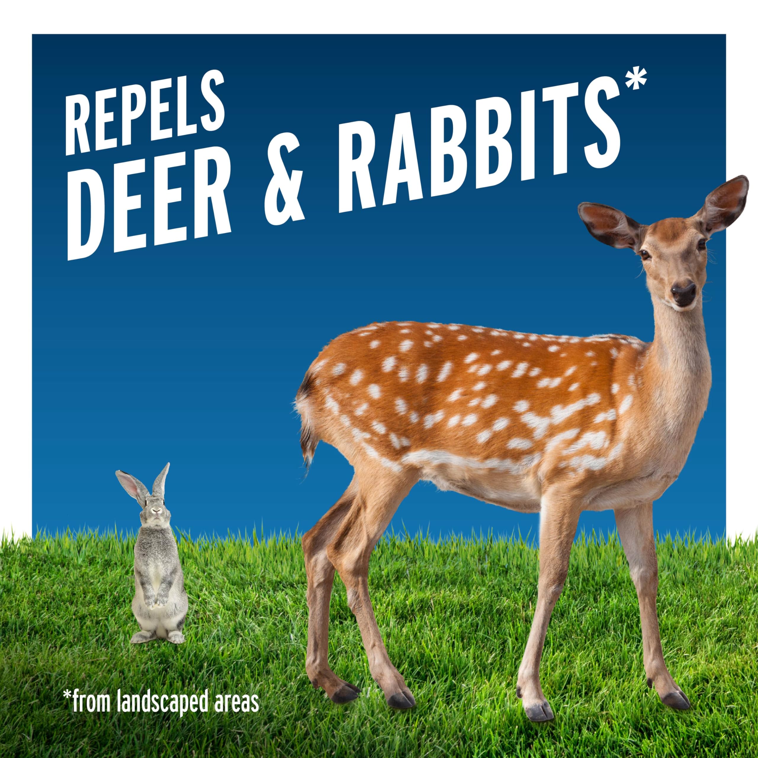 Liquid Fence Deer and Rabbit Repellent Concentrate application on garden
