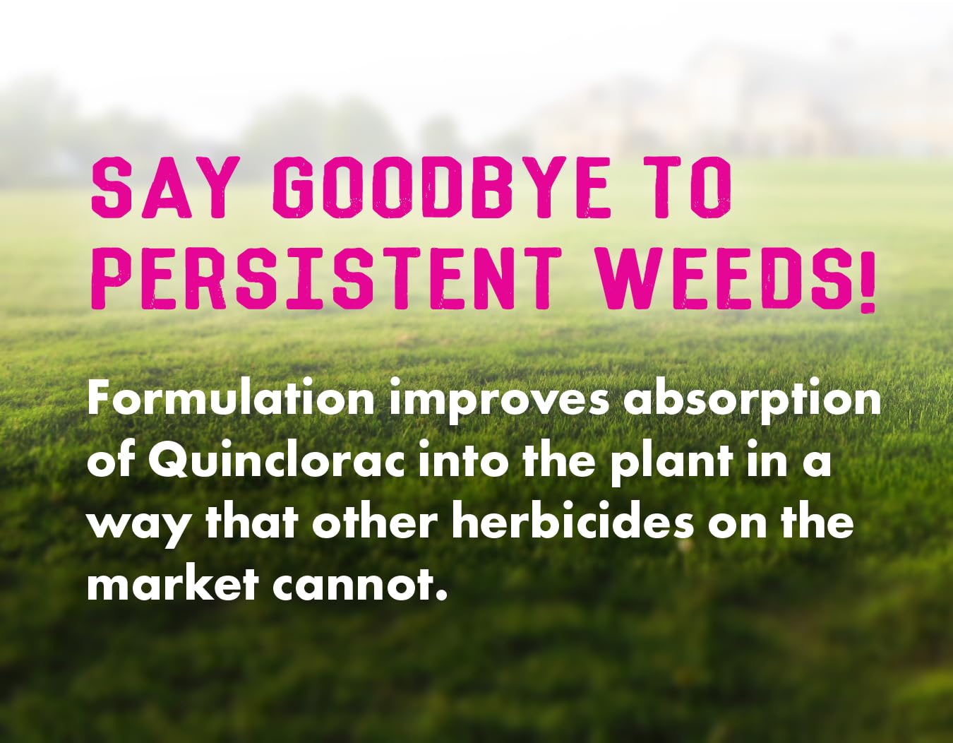 Liquid Harvest Crabgrass & Grassy Weed Killer with a garden setting