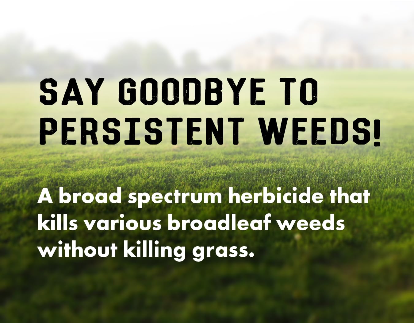Liquid Harvest Lawn Weed Killer being applied on a lawn