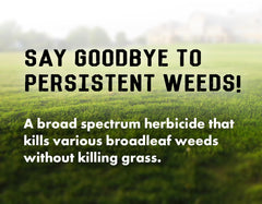 Liquid Harvest Lawn Weed Killer being applied on a lawn