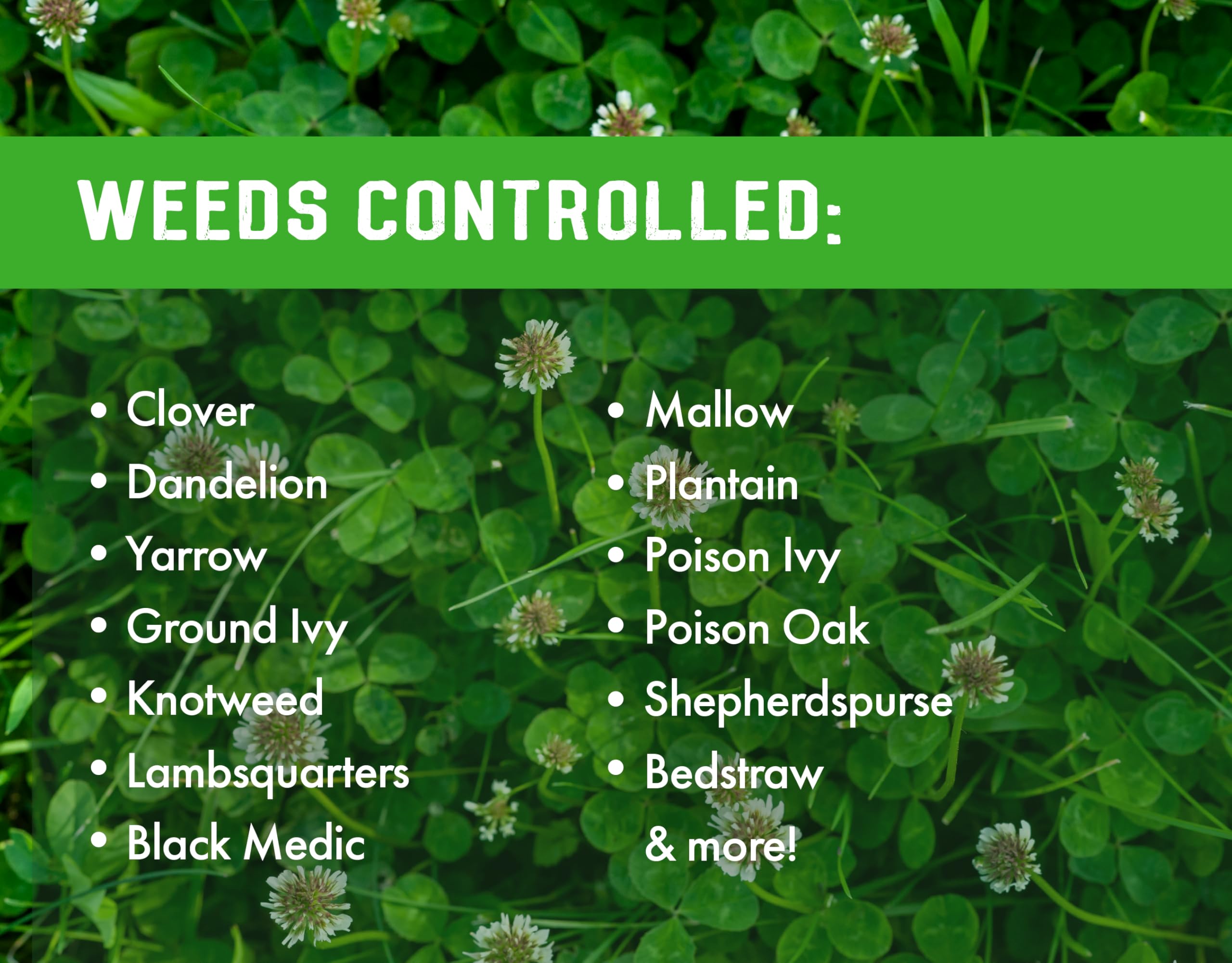 Liquid Harvest Lawn Weed Killer concentrated formula pouring into a measuring cup