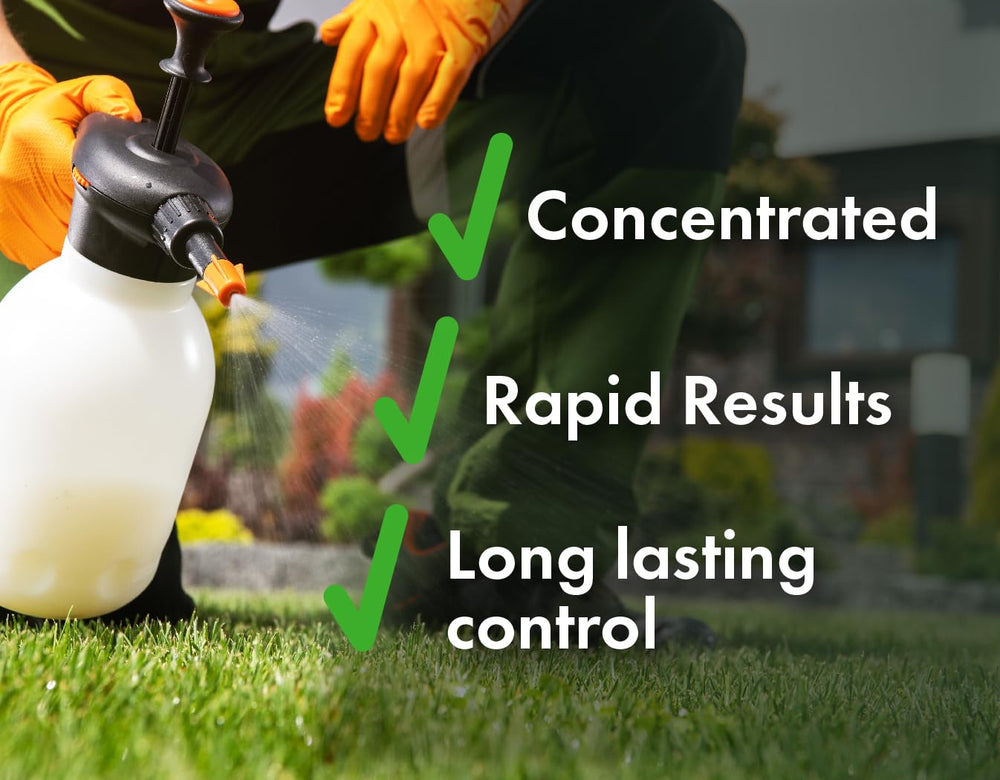 Liquid Harvest Lawn Weed Killer showing low odour formulation description