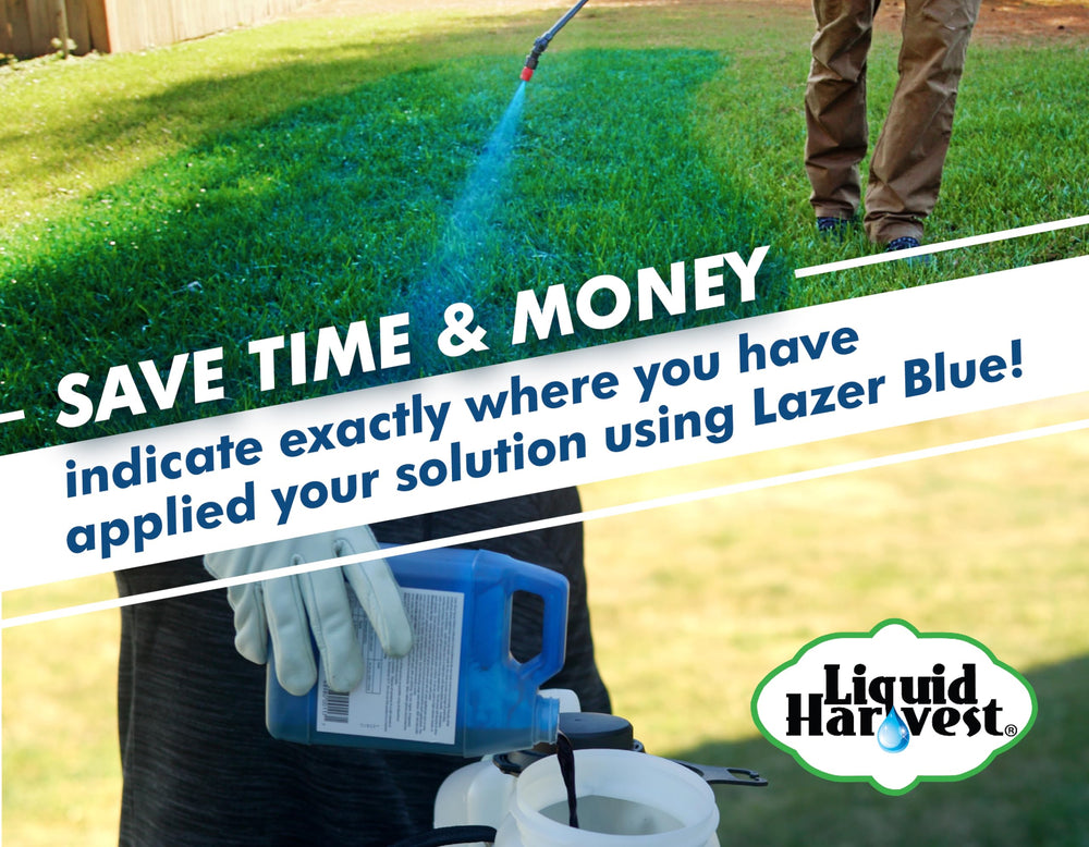 Liquid Harvest Lazer Blue Spray Pattern Indicator in use on a garden