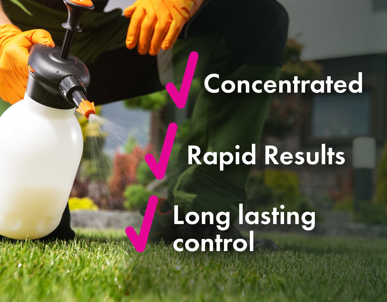 Liquid Harvest Pro weed killer application on lawn