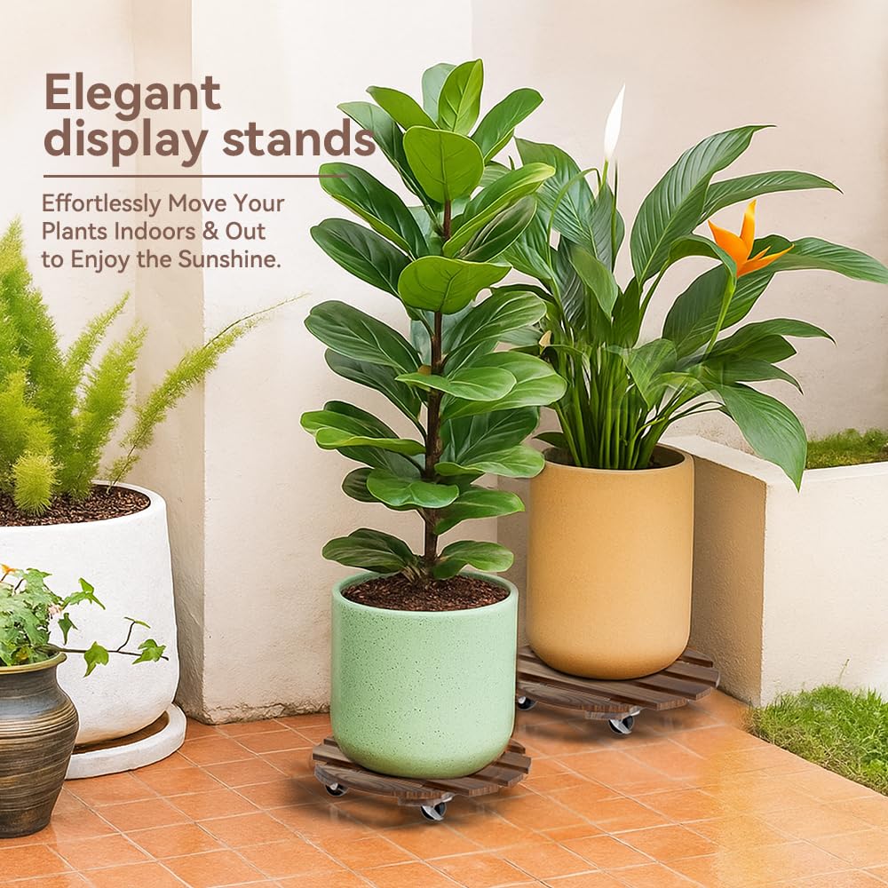 Lissomballon wood plant caddy with large planter on display