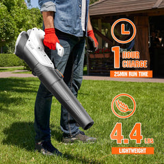 LiTHELi 20V Leaf Blower battery included