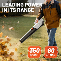LiTHELi Leaf Blower with battery and charger included