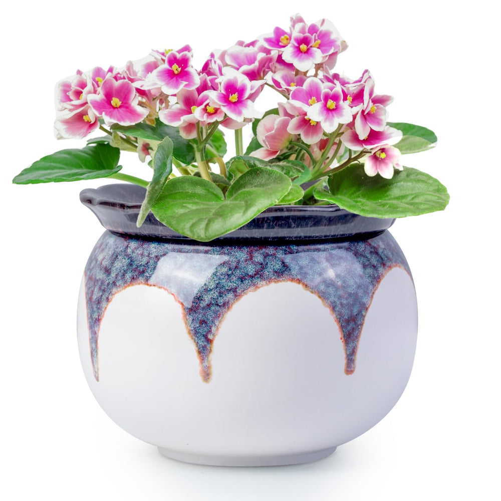 LITUDISO Self Watering African Violet Pot 6 Inch Gradient Red front view