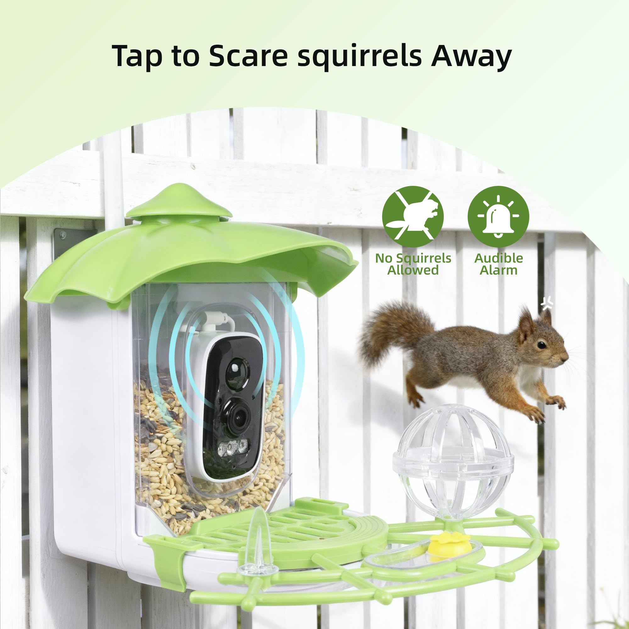 Live streaming view from Kaixincz Bird Feeder camera