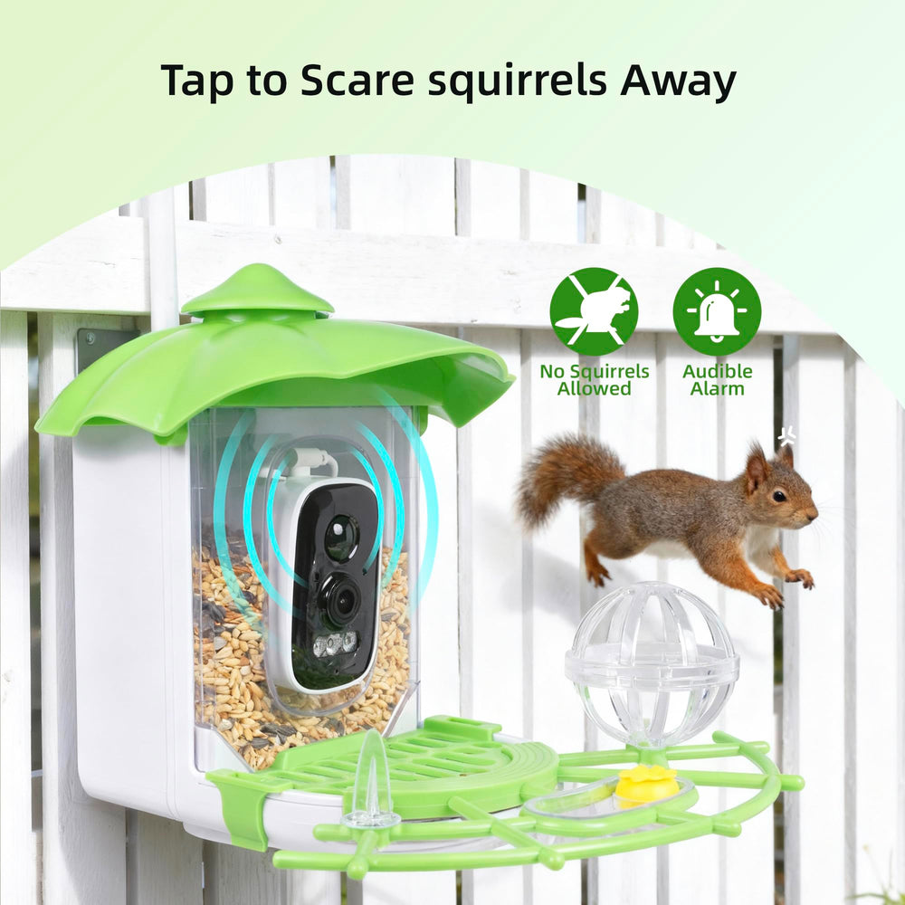 Live streaming view from Kaixincz Bird Feeder camera