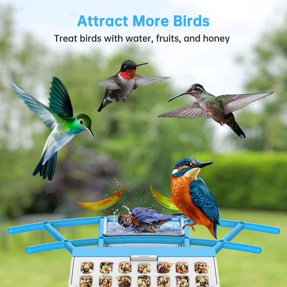 Live video feed from SMONET Bird Feeder displayed on smartphone