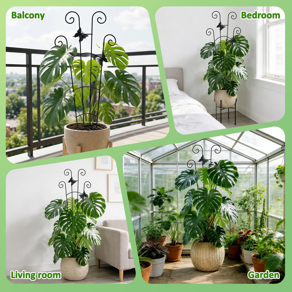 LLCJYYCY Monstera Plant Support in a living room setting