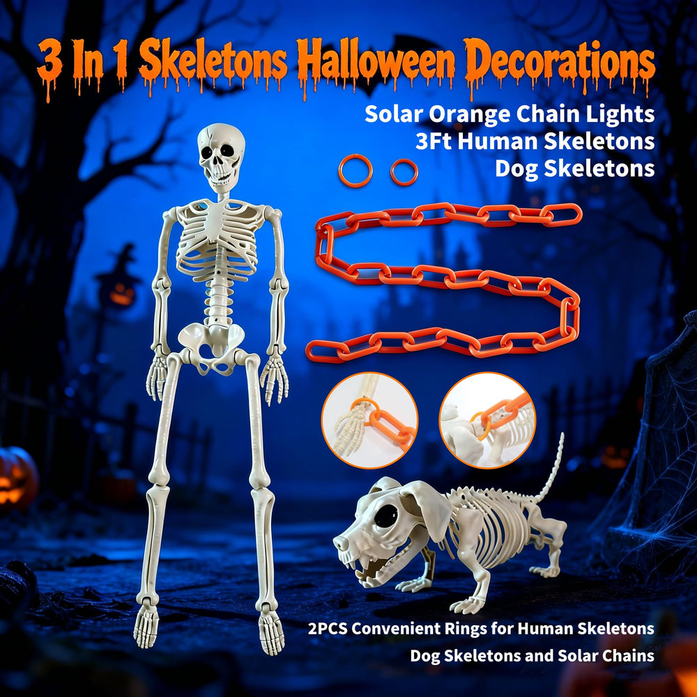 Lmtocs Halloween skeleton set in a garden
