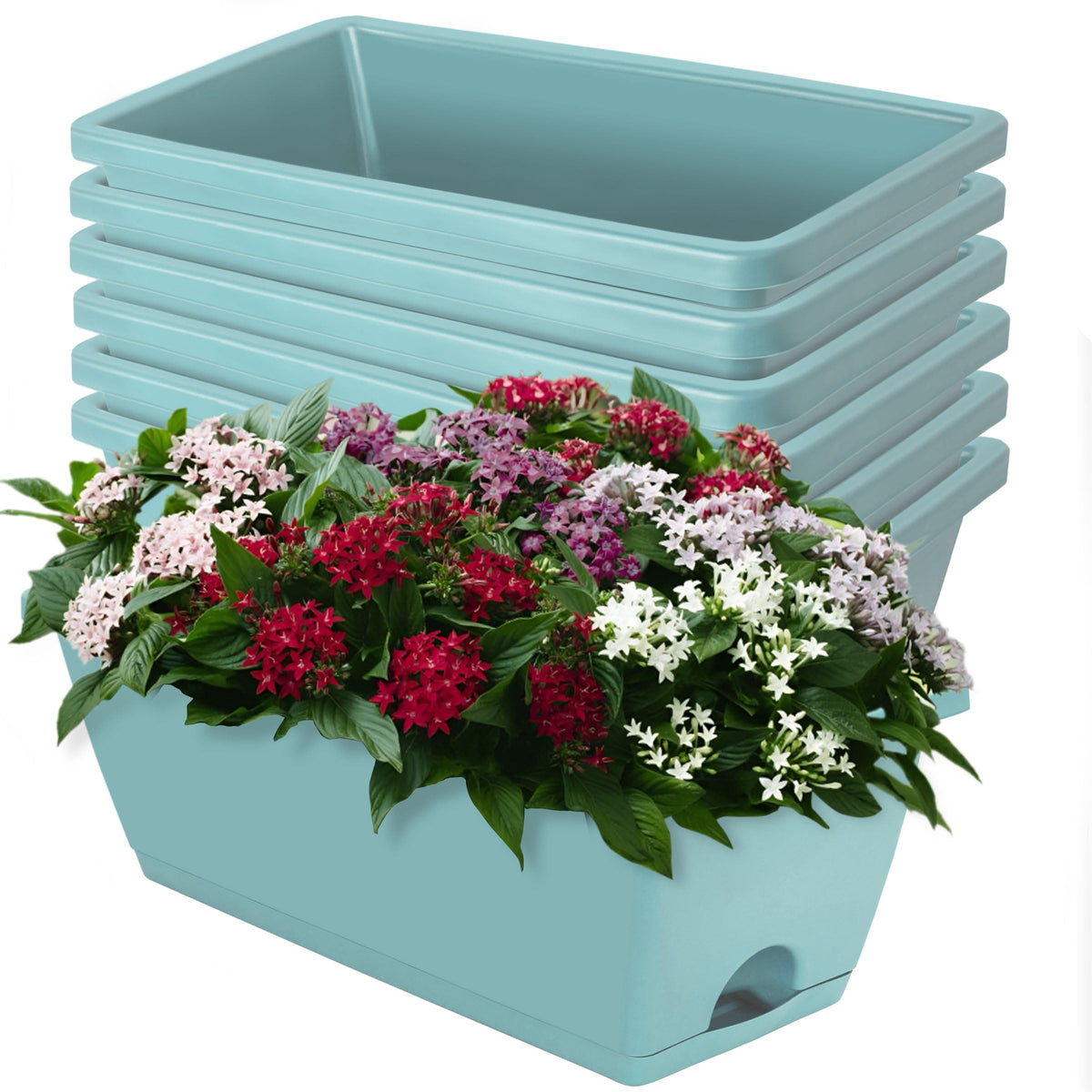 LOCONHA 7 Pack Window Box Planter in sky blue, front view