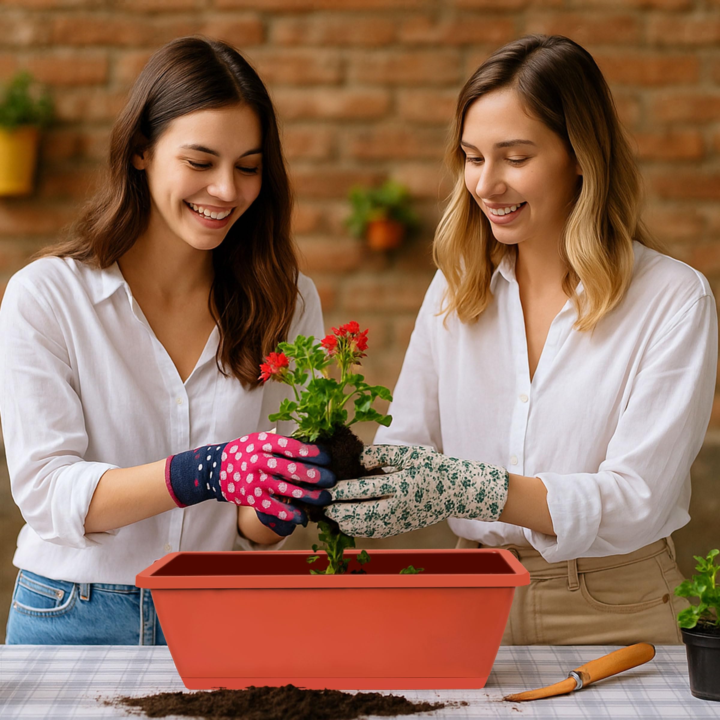 LOCONHA pack of 12 planters displayed in packaging