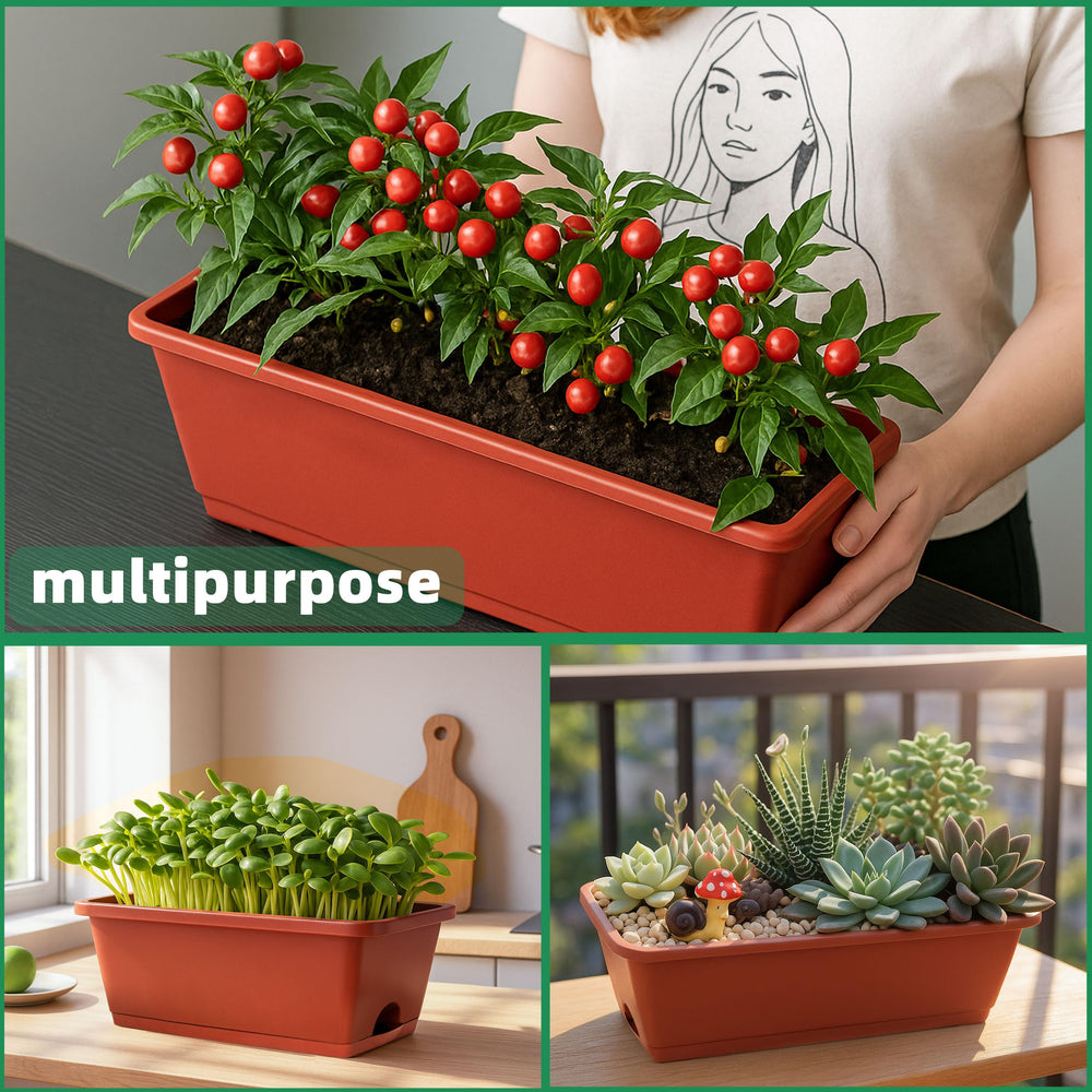 LOCONHA planter with vegetables on a windowsill