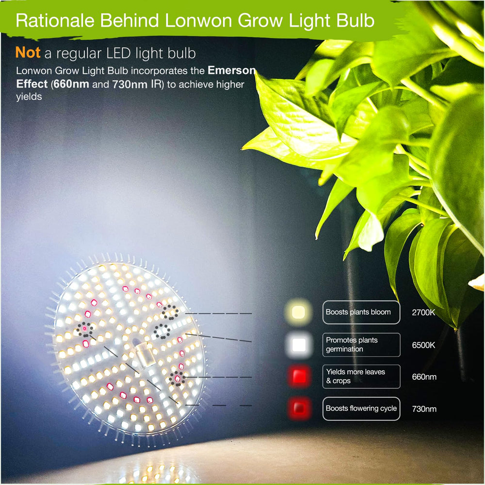 Lonwon Grow Light Bulb beside thriving indoor plants