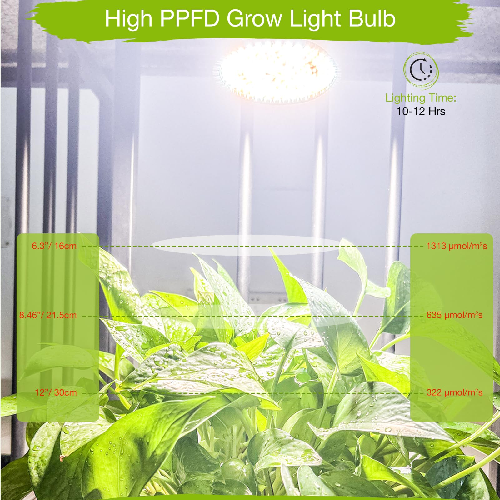 Lonwon Grow Light Bulb displaying warm 4000K glow