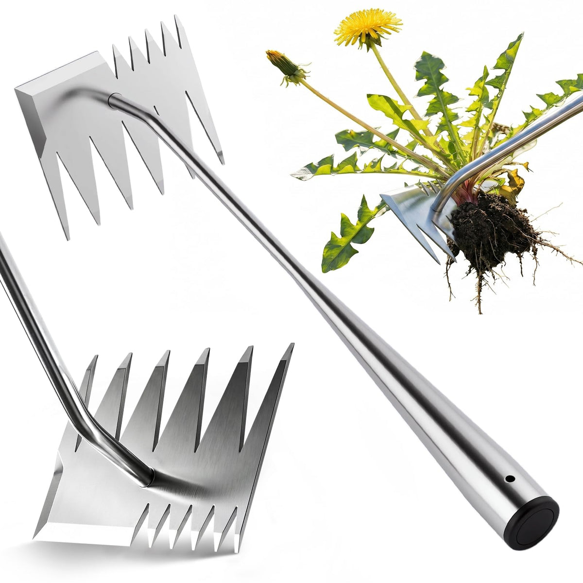 LOOHOI Weed Puller Tool front view with 6-tooth design