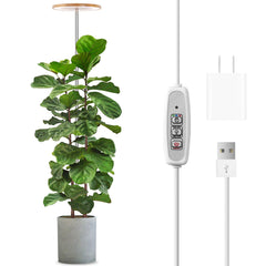 LORDEM Bamboo Grow Light front view with adjustable height
