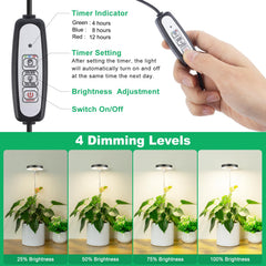 LORDEM Full Spectrum LED Grow Light in use with indoor plants