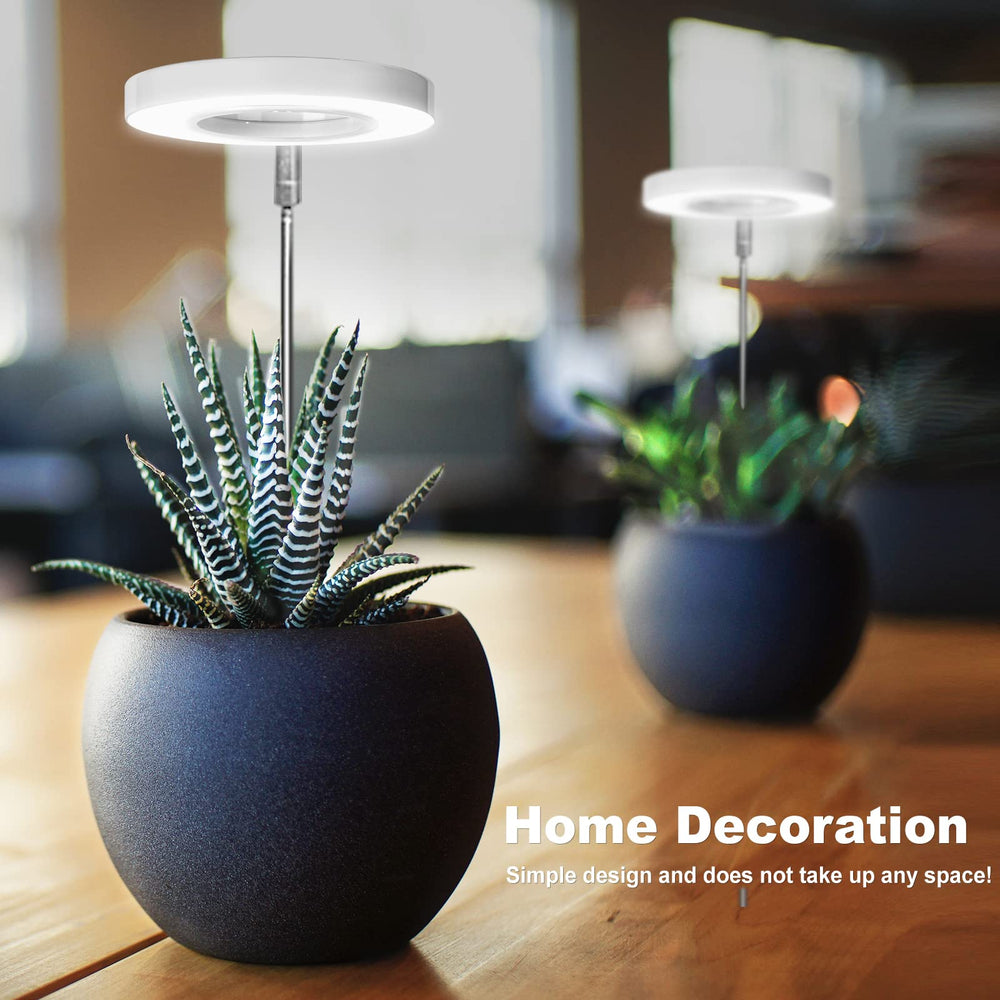 LORDEM Full Spectrum LED Grow Light packaging