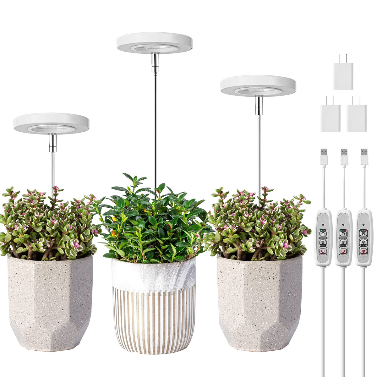 LORDEM Full Spectrum LED Grow Light set of 3 with halo design