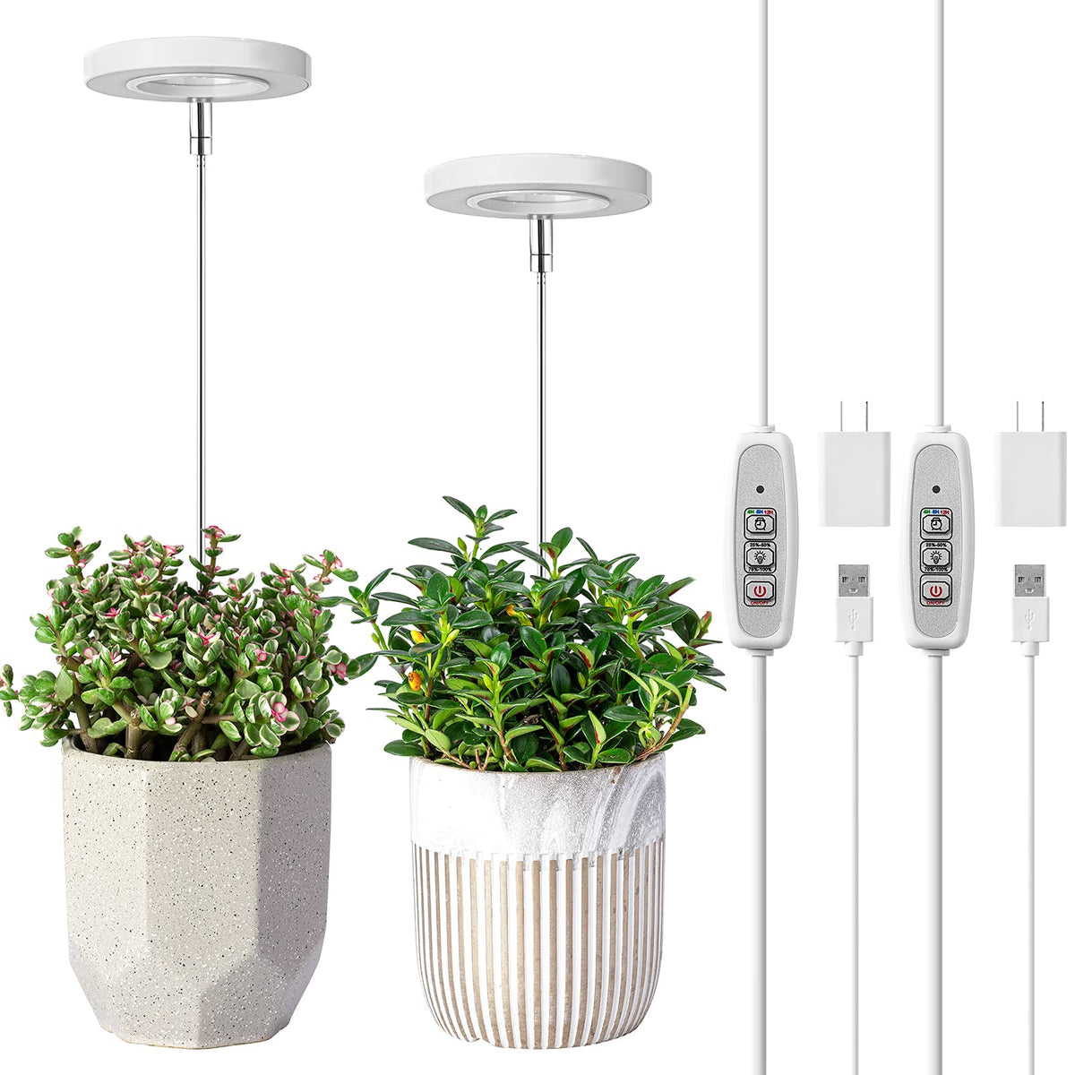 LORDEM Grow Light for Indoor Plants, two pack front view