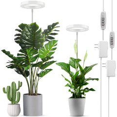 LORDEM Grow Light front view with 72 LEDs