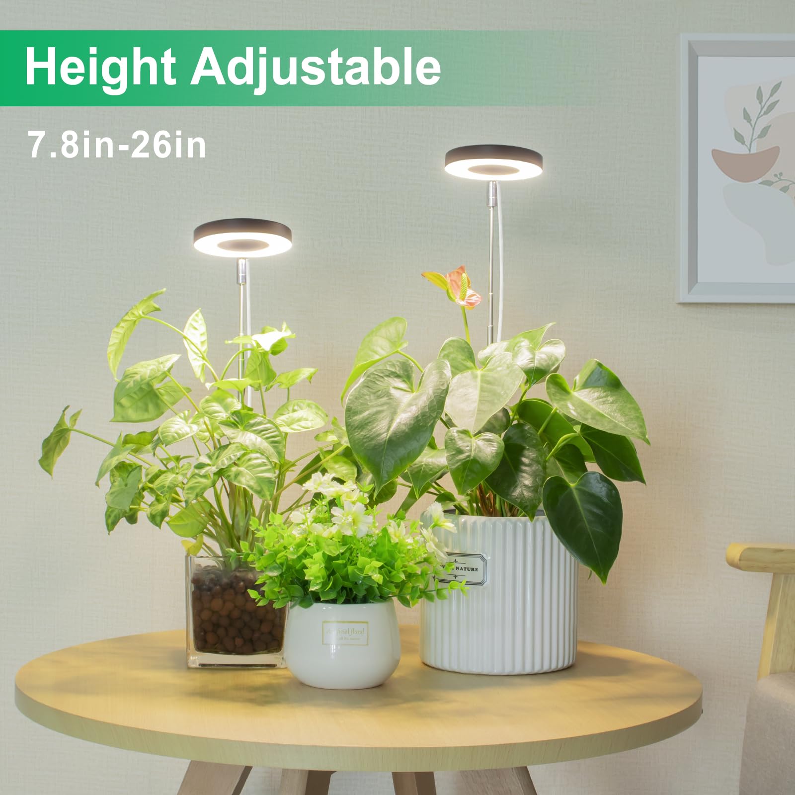 LORDEM grow light halo design close-up