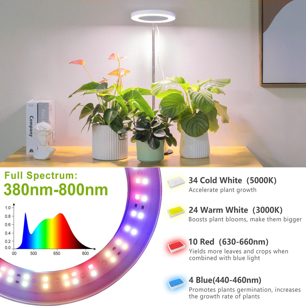 LORDEM Grow Light height adjustable settings