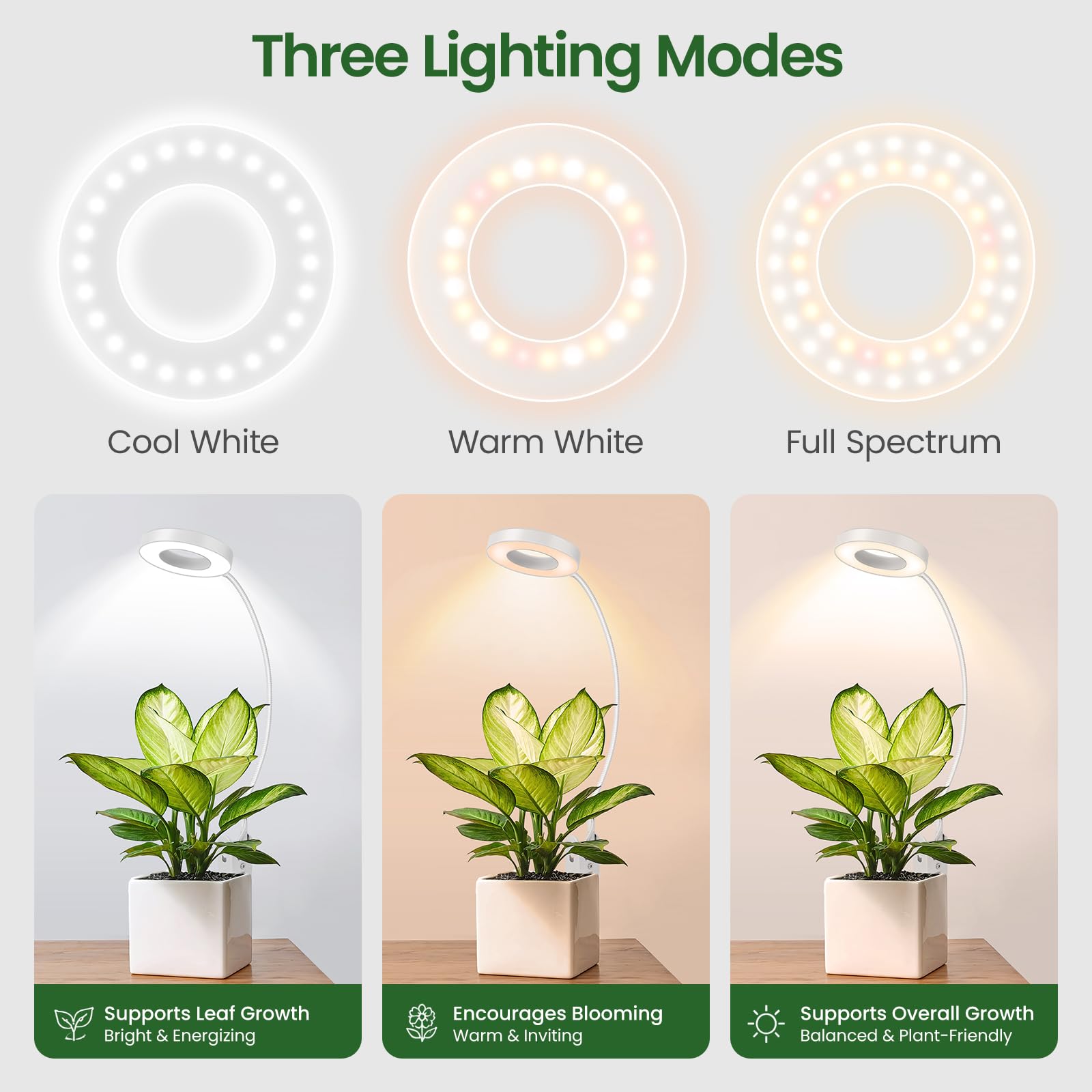 LORDEM Grow Light in use with small plants on a shelf