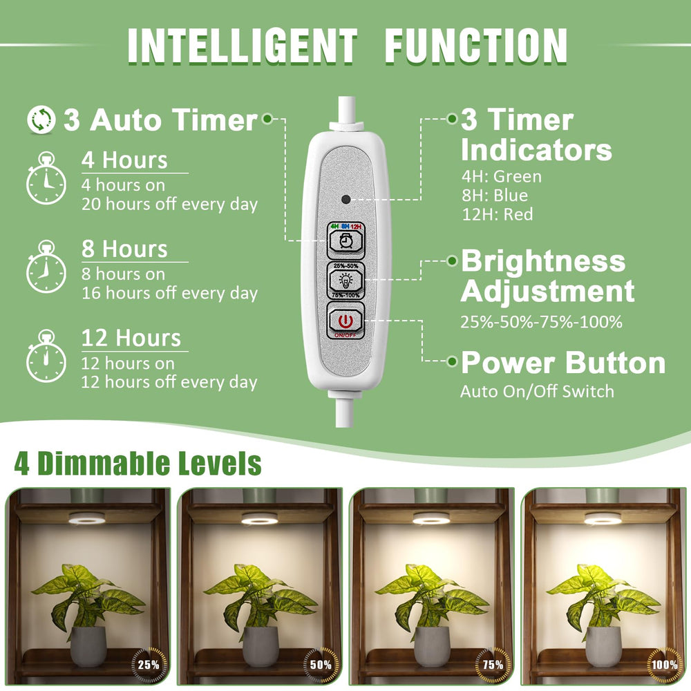 LORDEM Grow Light installed above small potted plants