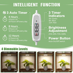 LORDEM Grow Light installed above small potted plants
