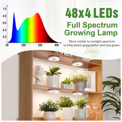 LORDEM Grow Light installed in a cupboard