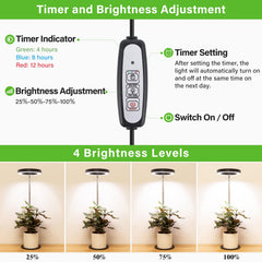 LORDEM Grow Light LED Desk Lamp in use on a tabletop with plants
