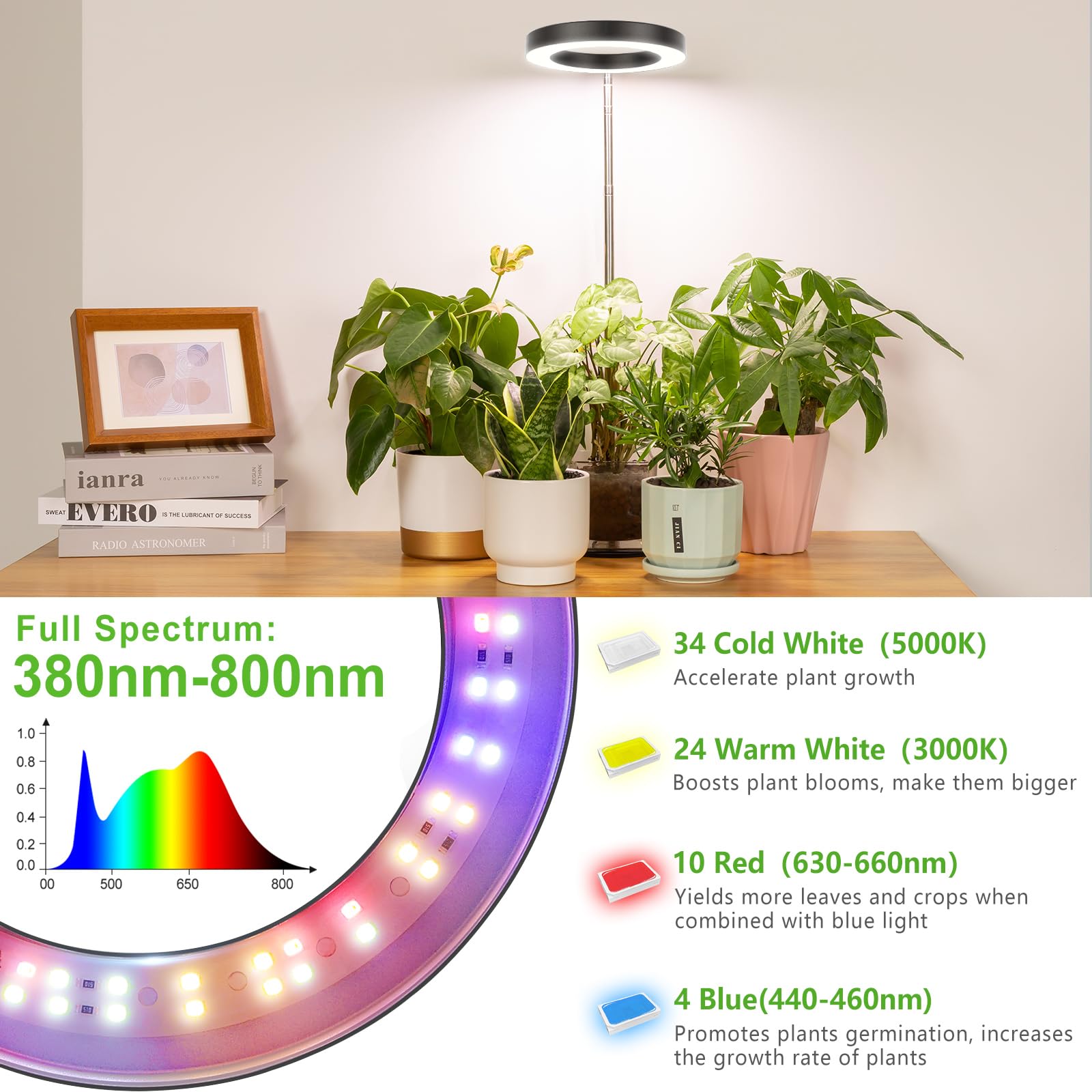 LORDEM Grow Light LED Desk Lamp showing the four dimmable brightness settings