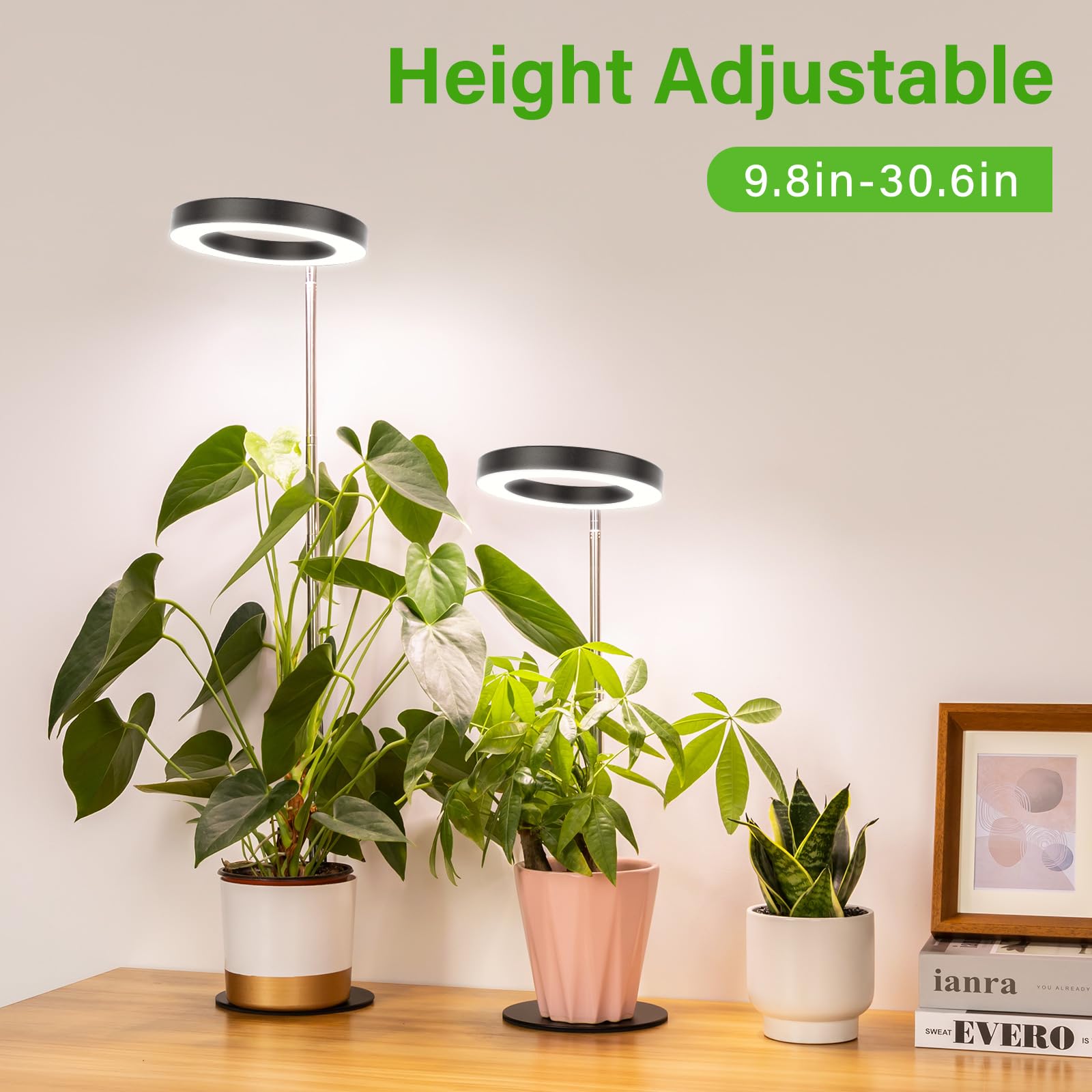 LORDEM Grow Light LED Desk Lamp showing the metal base and non-slip pads