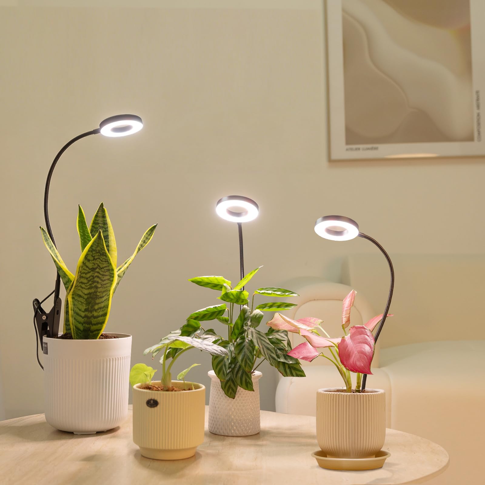 LORDEM Grow Light power cord length comparison