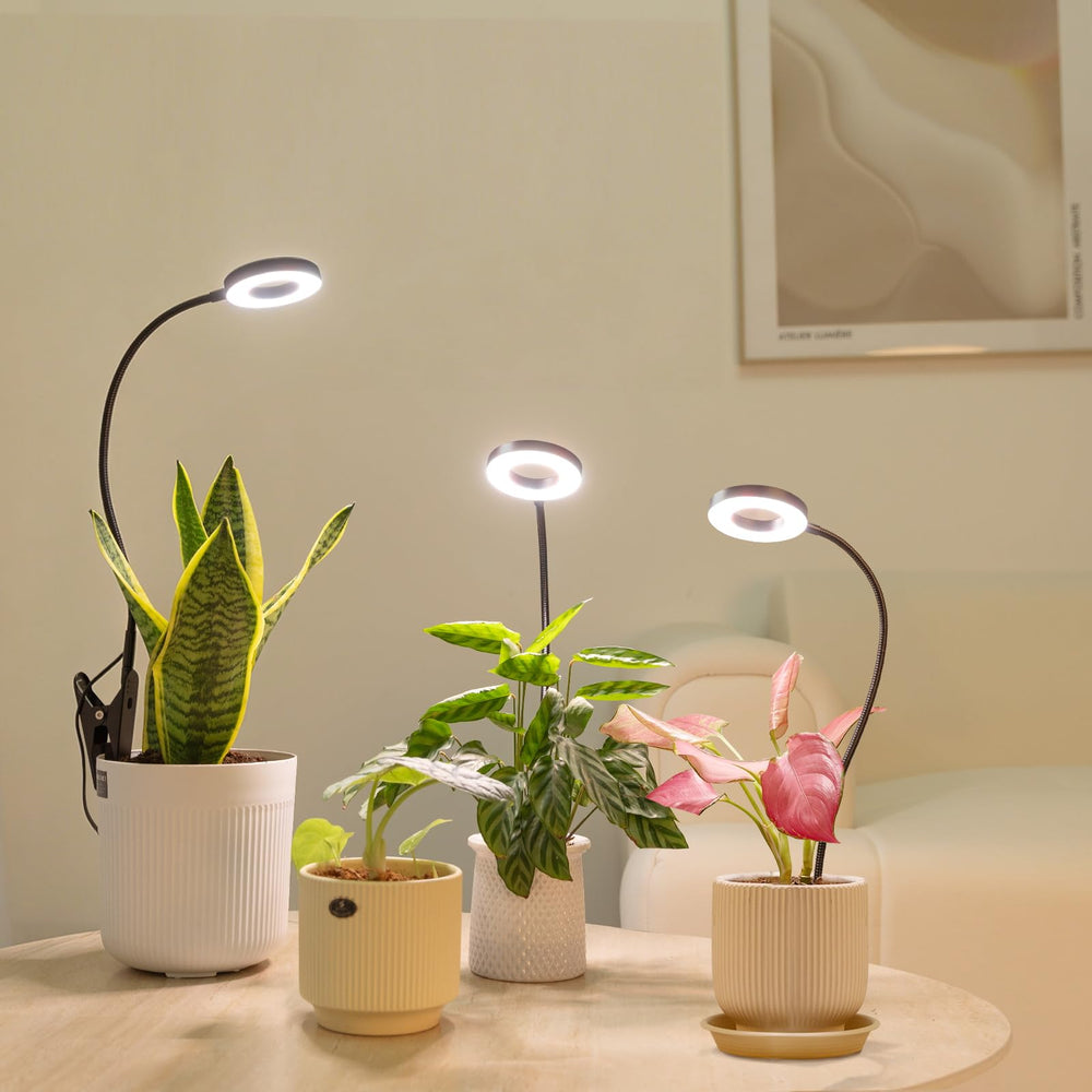 LORDEM Grow Light power cord length comparison