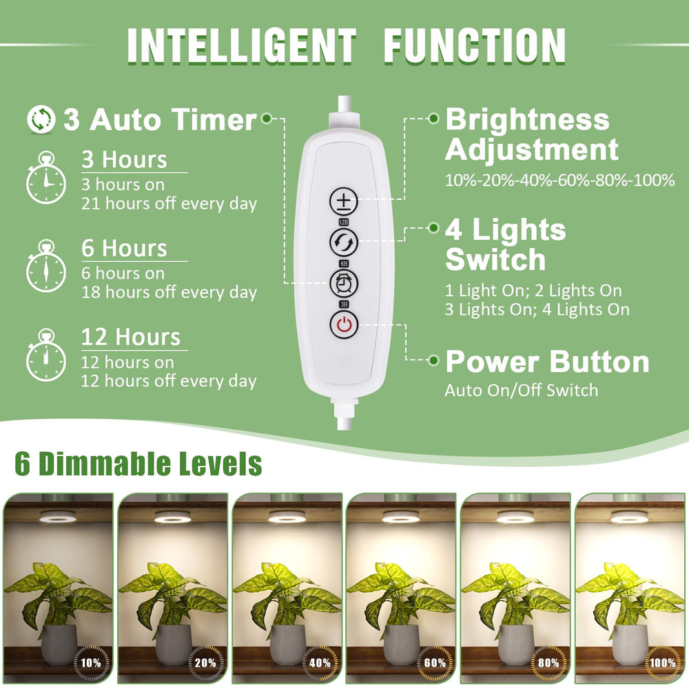 LORDEM Grow Light showing adjustable brightness levels