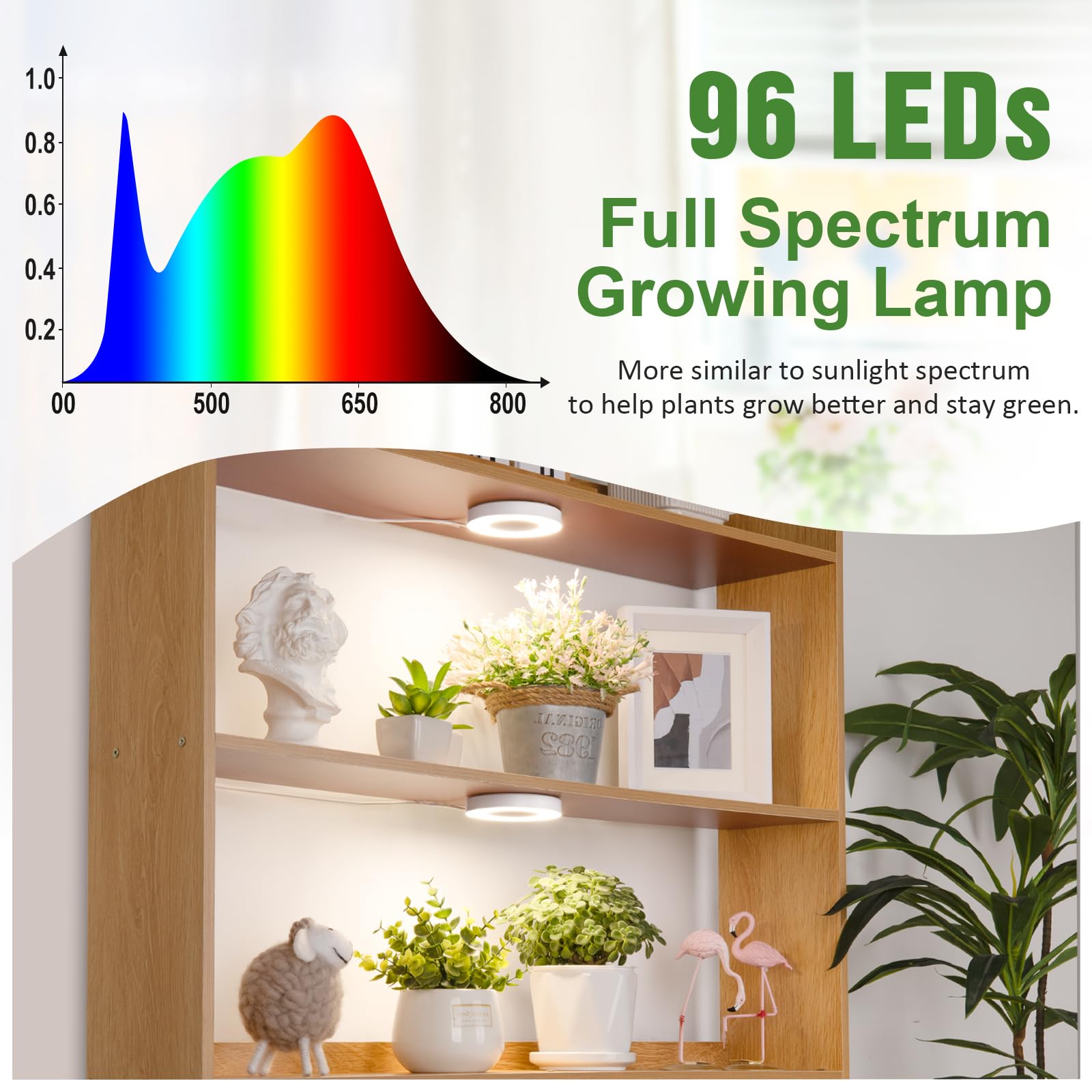 LORDEM Grow Light showing adjustable brightness settings