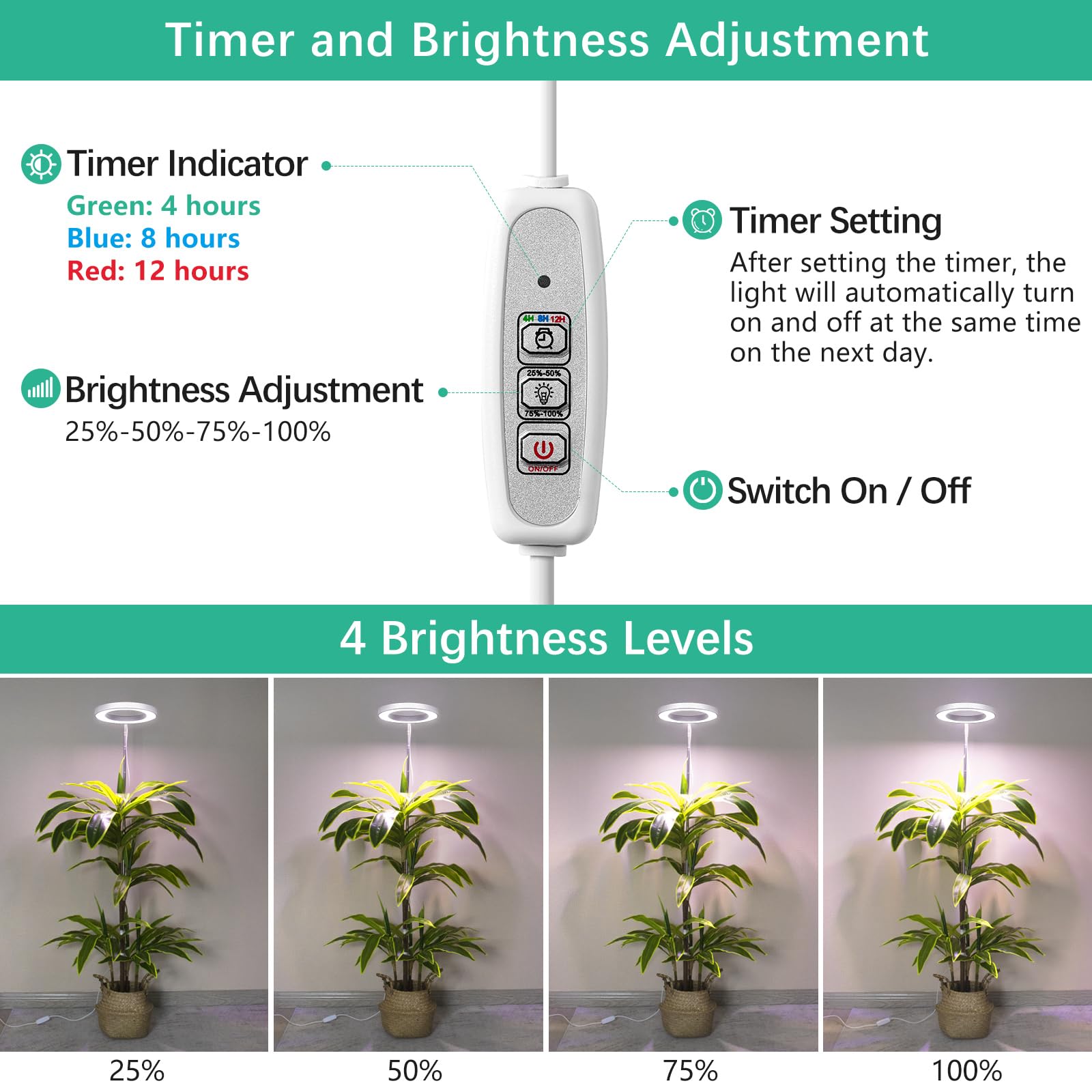 LORDEM Grow Light showing power cord length