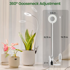 LORDEM Grow Light showing the auto timer display