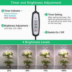 LORDEM Grow Light with adjustable height for different plants