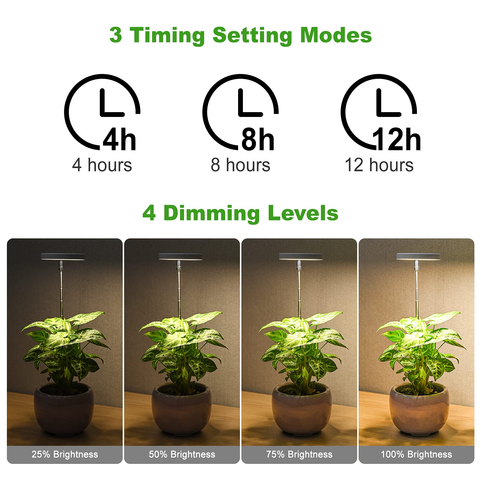 LORDEM Grow Light with adjustable height in use