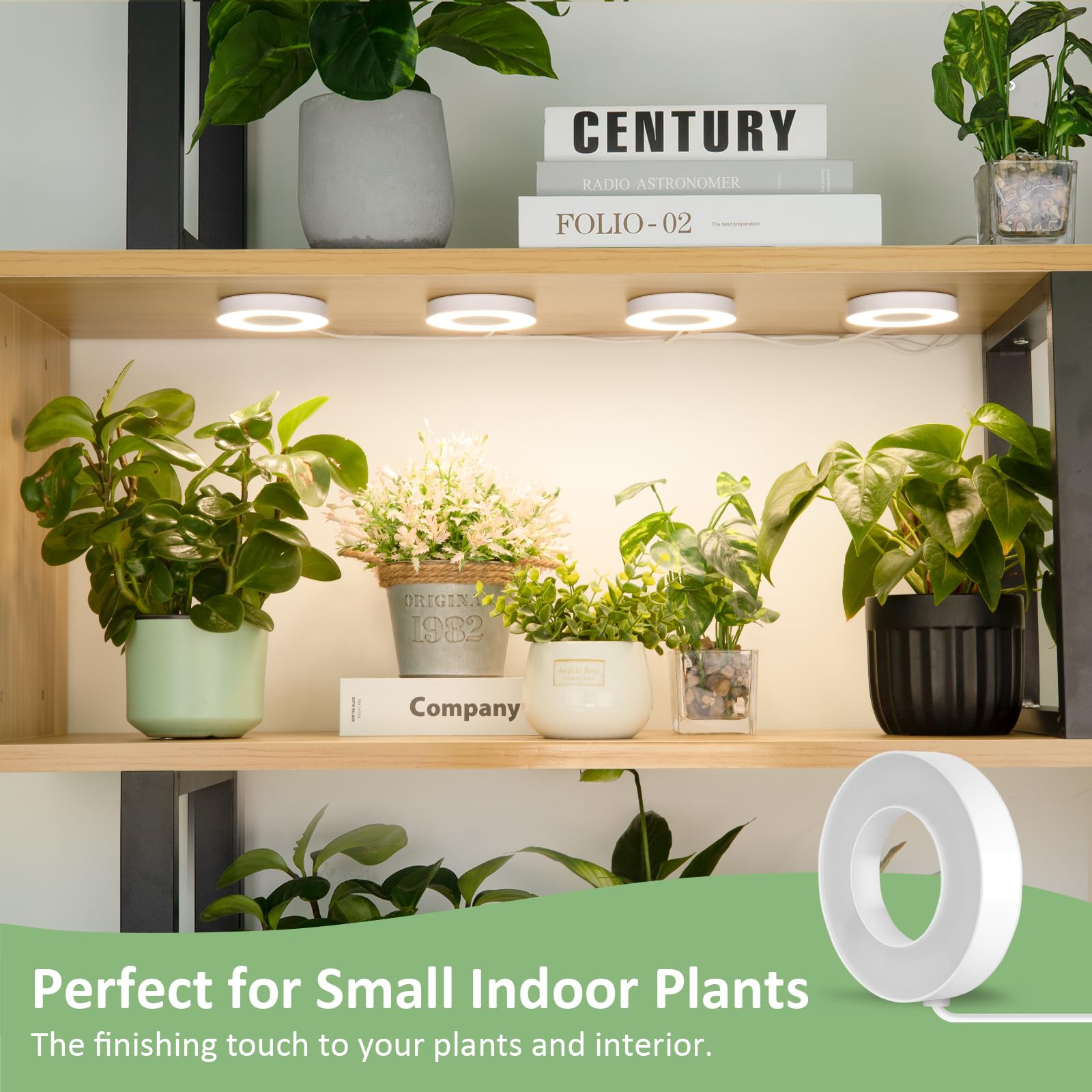 LORDEM Grow Light with auto timer function displayed