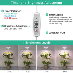 LORDEM Grow Light with extended height for plant growth