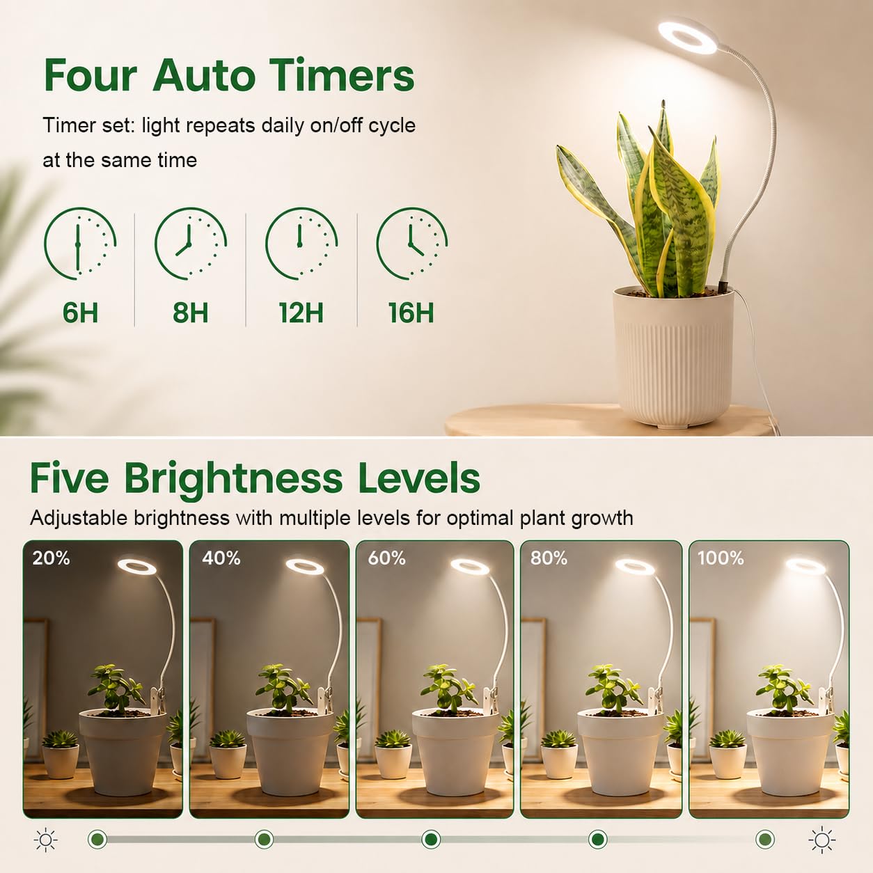 LORDEM Grow Light with power cord length illustration
